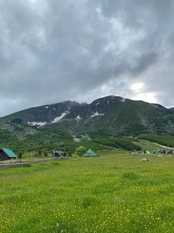 Guesthouse Andrea A Žabljak Eksteriør bilde